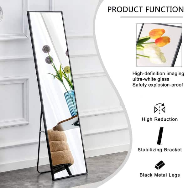 Seafuloy 22 in. W x 65 in. H Black Full Length Mirror Metal Framed