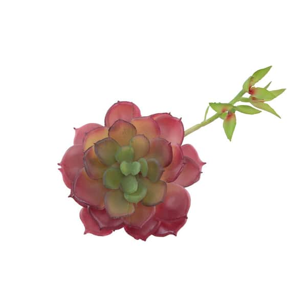 Flora Bunda Set of 6 Artificial Echeveria Lola Succulent Plant