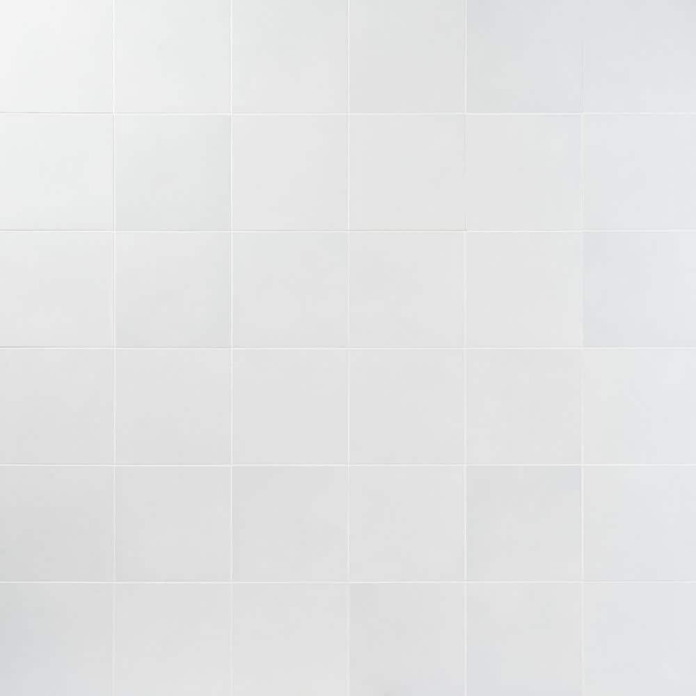 Elizabeth Sutton Cameo White 7.87 in. x 7.87 in. Matte Porcelain Floor and Wall Tile (10.76 sq. ft./Case) price history on PriceWatchPro