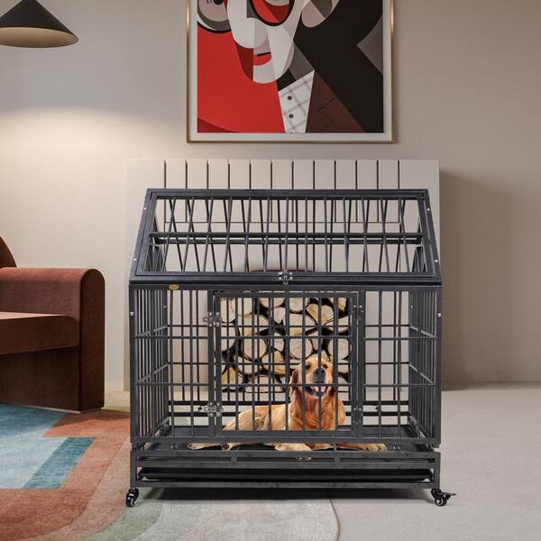 home depot pet cages