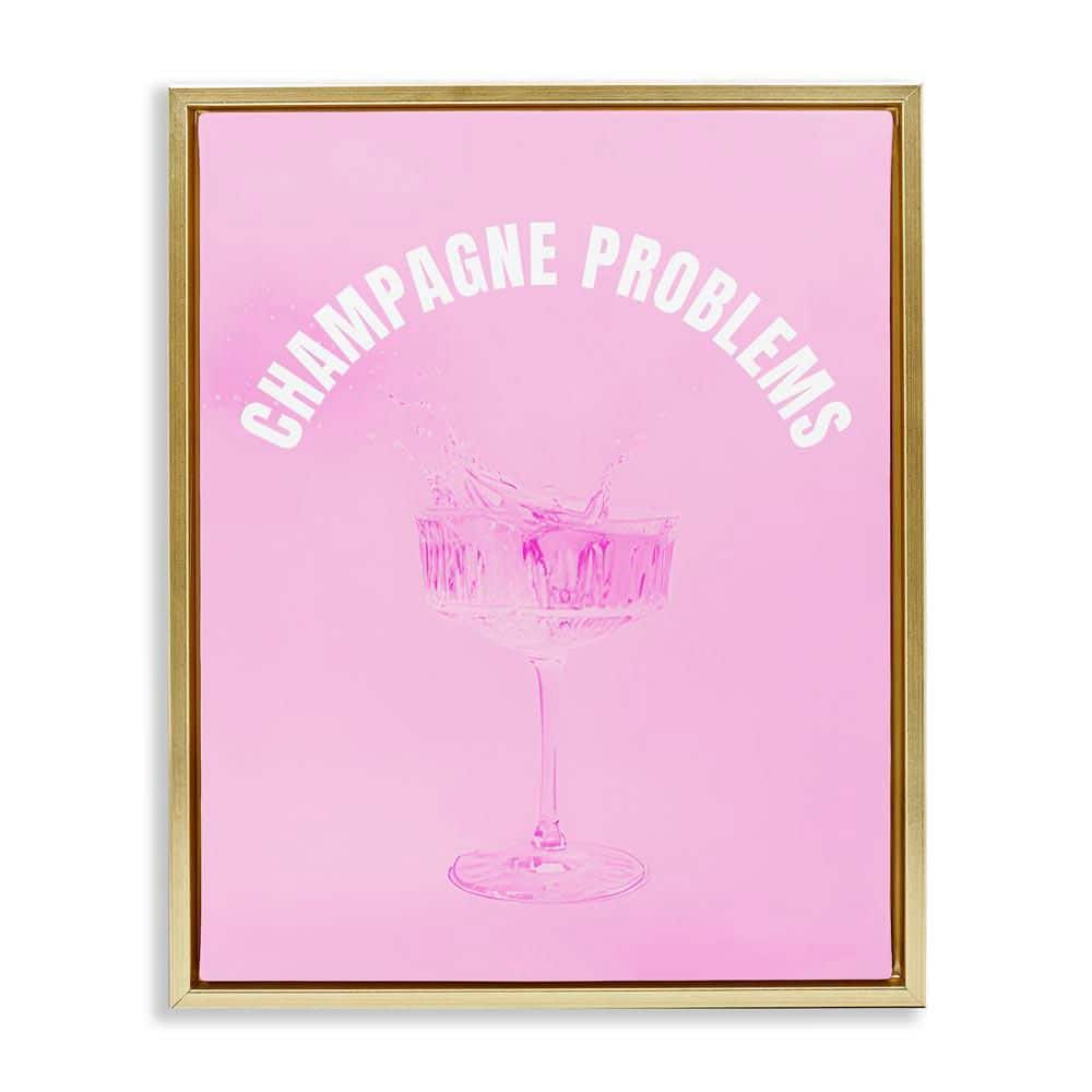 Champagne Problems Pink by House of Lulu Gold Floater Frame Food Graphic Art Print 31 in. x 25 in. price history on PriceWatchPro