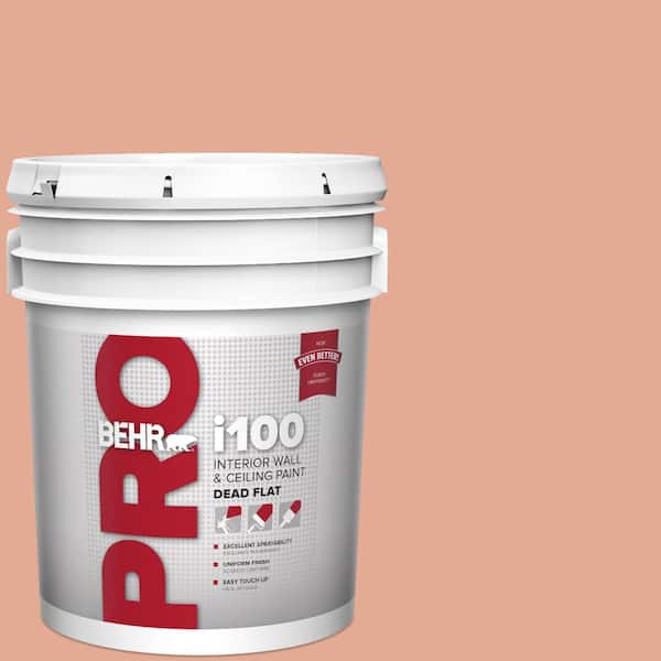 5 gal. #M190-4 California Coral Dead Flat Interior Paint