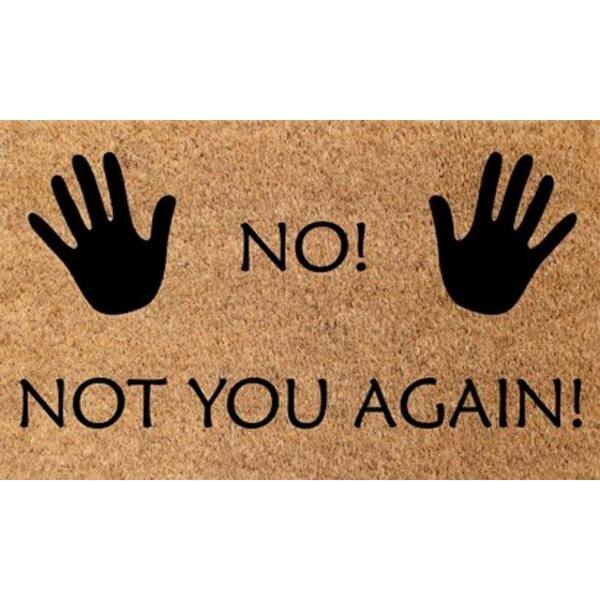 Dynamic Rugs Vale No Not You Again 18 in. x 30 in. Door Mat