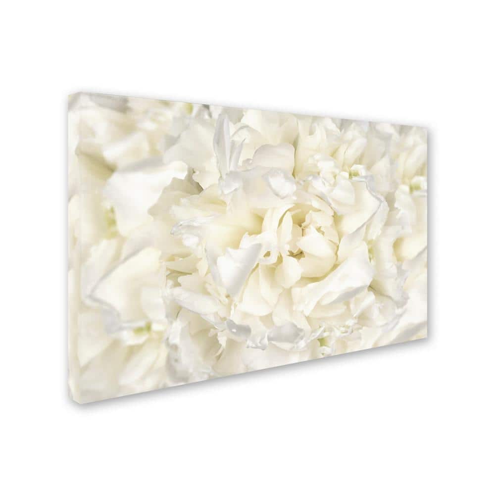 White Peony Flower Abstract Canvas Art in Frame