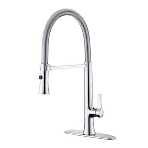 Nita Spring Spout Single-Handle Pull-Down Sprayer Kitchen Faucet w/Accessories Rust and Spot Resist in Polished Chrome