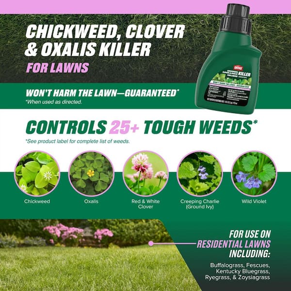 Chickweed, Clover and Oxalis Killer for Lawns Concentrate 16 oz. Kills Weeds to the Roots