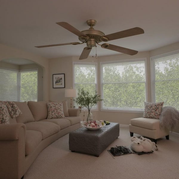 Sundowner 54 in. Indoor/Outdoor Oil Rubbed Bronze Ceiling Fan