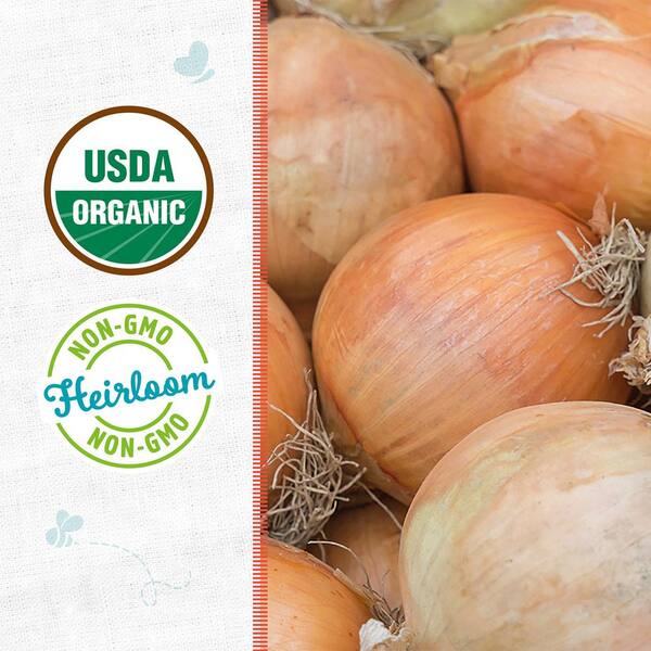 Back to the Roots Organic Yellow Sweet Spanish Utah Onion Seed (1 