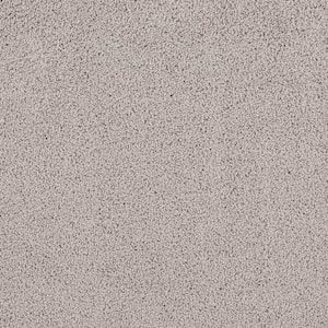 Around The World - Dusty Taupe - Beige 56.2 oz. Nylon Texture Installed Carpet