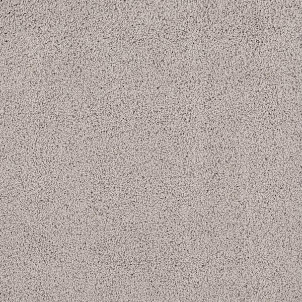 Lifeproof Around The World - Dusty Taupe - Beige 56.2 oz. Nylon Texture Installed Carpet