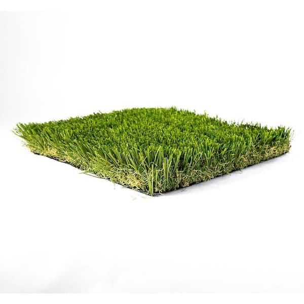 Wet Grass Patterned Rug Wet Grass Rug Wet Grass 3D 