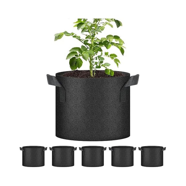 fake fiddle leaf fig Faux Fiddle Leaf Fig Tree, 5 ft main image 0