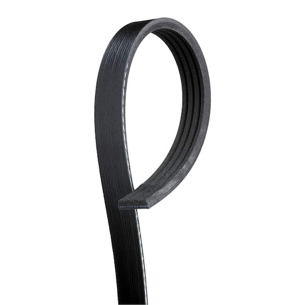 Standard Serpentine Belt - Water Pump and Alternator