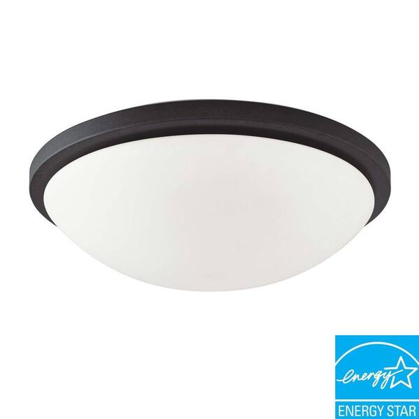 Green Matters 4-Light Textured Black Dome Flush Mount