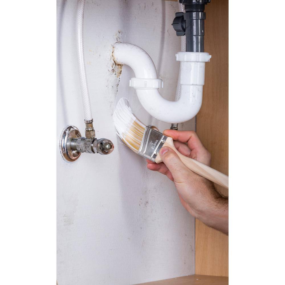 5 gal. Mold Killing Interior/Exterior Primer Best Deals and Price