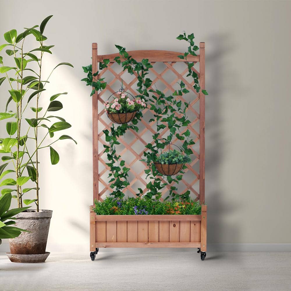 Brown Wood Outdoor Raised Garden Bed with Trellis (2-Pack)