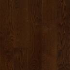 Plano Oak Mocha 3/4 in. Thick x 5 in. Wide x Varying Length Solid Hardwood Flooring (23.5 sq. ft. / case)