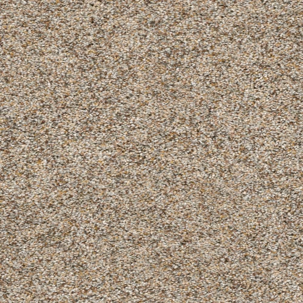 8 in. x  8 in. Texture Carpet Sample - Whispers -Color Composure price history on PriceWatchPro