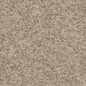 Whispers  - Composure - Beige 38 oz. SD Polyester Texture Installed Carpet
