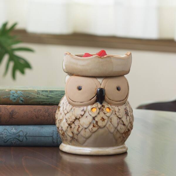 Candle Warmers Etc 8.8 in Owl Illumination Fragrance Warmer
