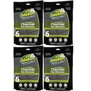 10 g Charcoal Odor Eliminators (6 Ct), Natural Odor & Moisture Absorber, Odor Remover Bags for Shoes, Gym Bags 4 Pack