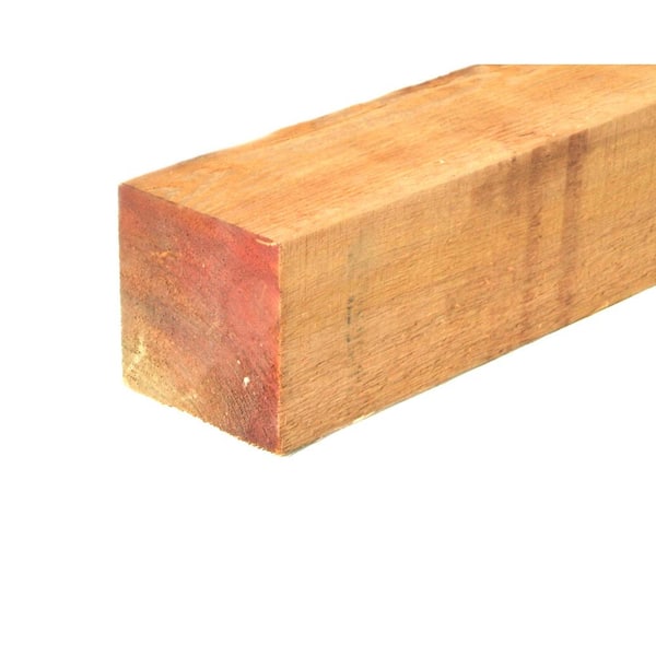 Unbranded 8 in. x 8 in. x 8 ft. No. 2 and Better Western Red Cedar Timber