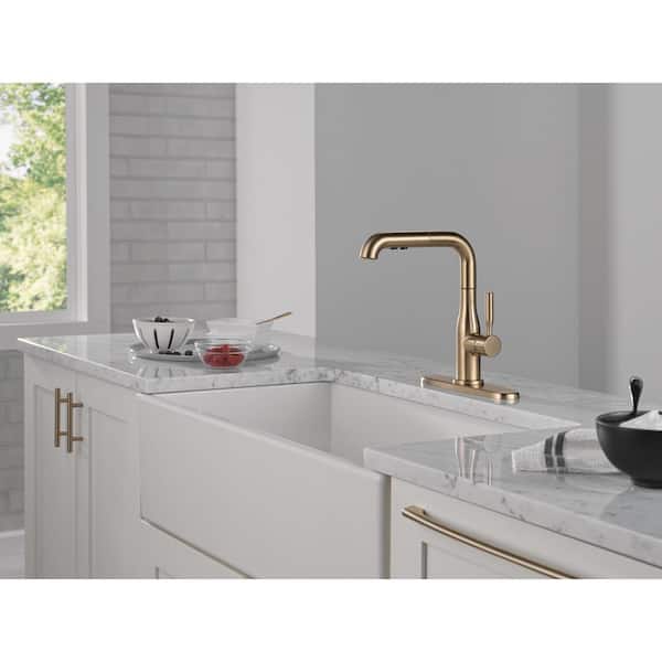 Delta Almari Gold Single Handle Pull Out Sprayer Kitchen Faucet