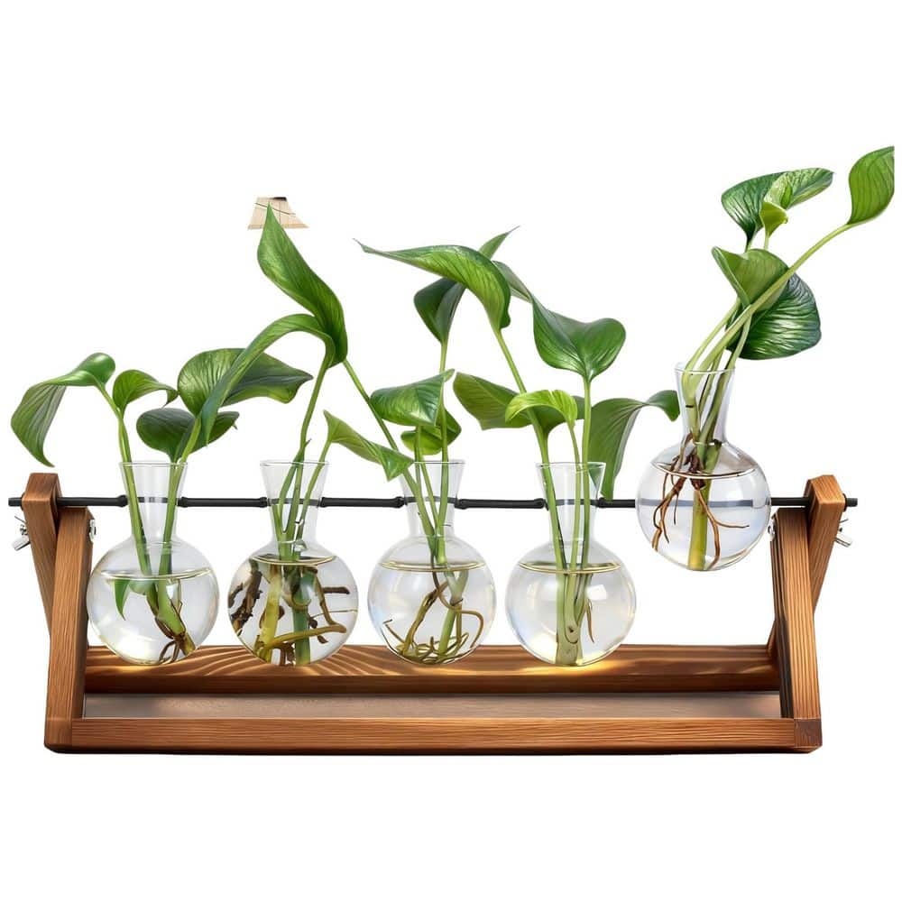 5-Pack Brown Plant Propagation Station, Propagation Vases for Plants, Unique Gardening Birthday Gifts for Plant Lovers price history on PriceWatchPro