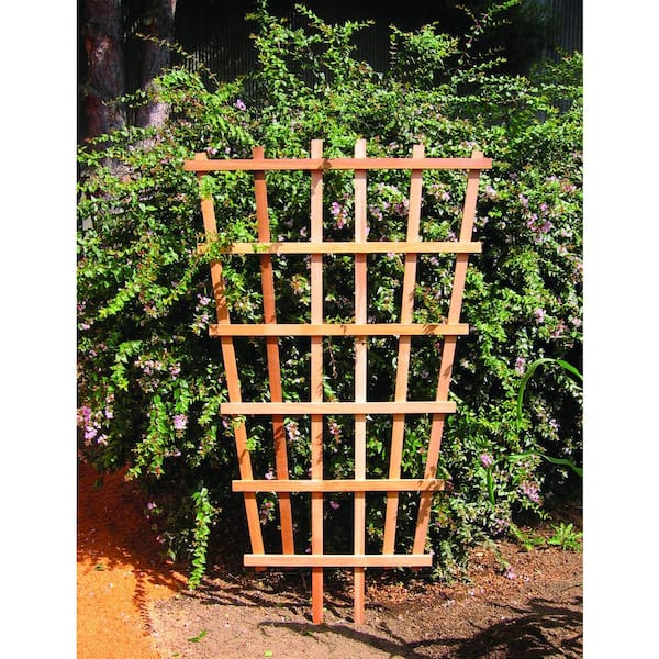 25 in. W x 54-1/2 in. H Wood Fan Trellis 25648 - The Home Depot