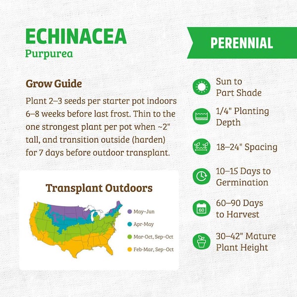 (1-Pack) Organic Regenerative Echinacea Purpurea Seed