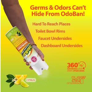 14.6 oz. Citrus Multi-Purpose Disinfectant Spray, Odor Eliminator, Sanitizer, Fabric and Air Freshener