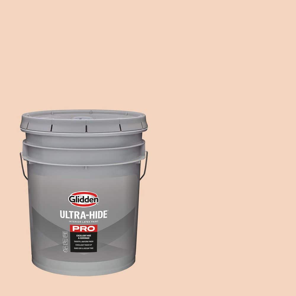 5 gal. PPG1198-2 Budding Peach Satin Interior Paint price history on PriceWatchPro