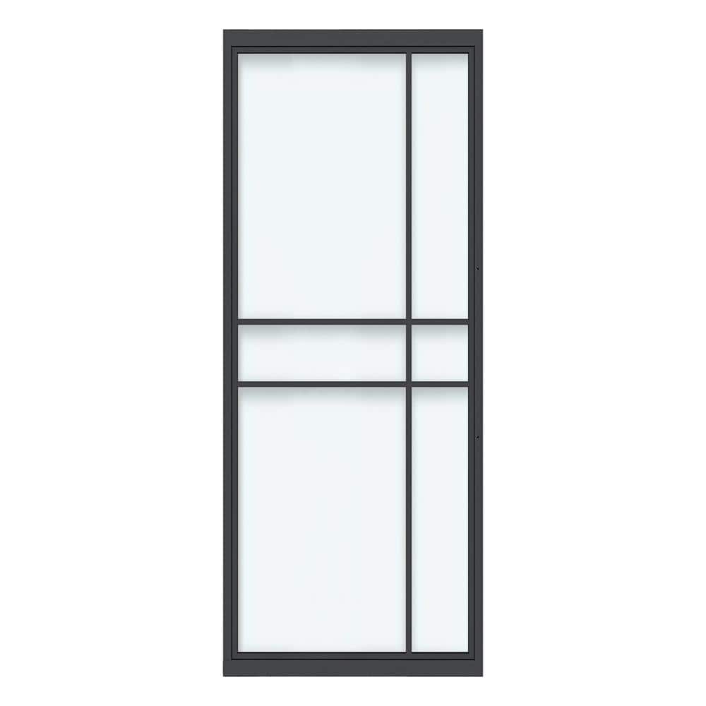 Black Steel Full Lite Frosted Glass Interior Pivot Door