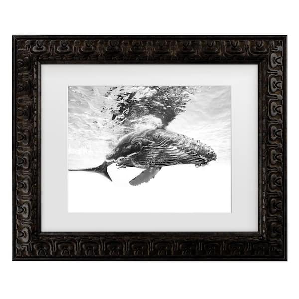 Trademark Fine Art Barathieu Gabriel Humpback Whale Calf Matted Framed Photography Wall Art 14.5 in. x 17.5 in.