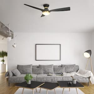 Striver 52 in. Integrated LED Indoor Black Smart Ceiling Fan with Light and Remote, Works with Alexa and Google Home