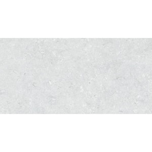 Lightstone Fossile Light Grey 24 in. x 48 in. Color Body Porcelain Floor and Wall Tile (15.5 sq. ft./Case)