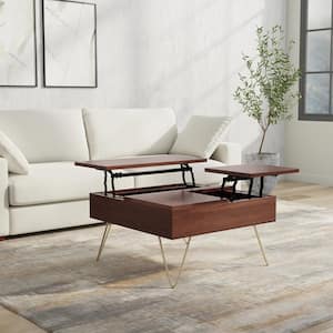 Hunter Solid Mango Wood 32 in. Wide Square Industrial Lift Top Coffee Table in Umber Brown, Gold