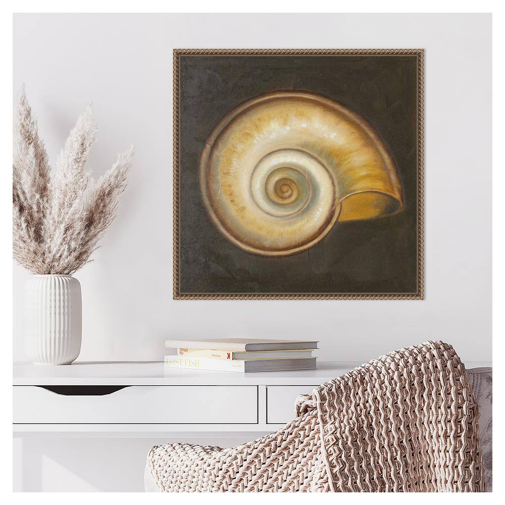 Patricia Pinto Nautical Seashell Canvas Framed Wall Art 22 x 22-in.