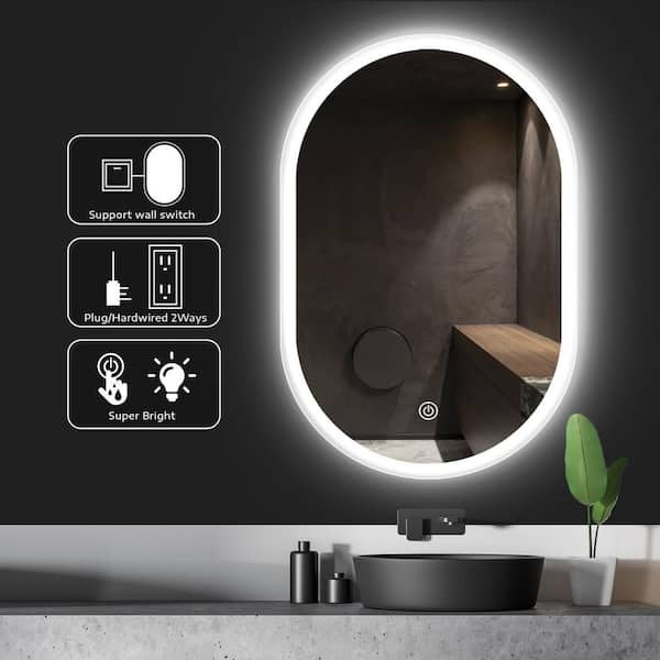 Ivy Bronx 24 in. W x 36 in. H Oval Frameless LED Light Bathroom Vanity  Mirror & Reviews