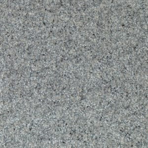 Port Abigail I  - Bay - Gray 45 oz. SD Polyester Texture Installed Carpet