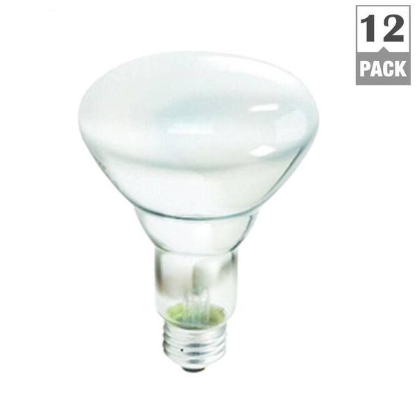 Light B X2 Lamp Assembly Sporting Goods for sale online 