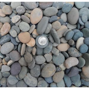 Rock Ranch 0.25 cu. ft. 20 lbs. 5/8 in. to 1 in. Mixed Mexican Beach Buttons Landscaping Pebble
