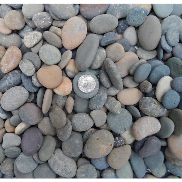 BUTLER ART AND DESIGN Rock Ranch 0.25 cu. ft. 20 lbs. 5/8 in. to 1 in. Mixed Mexican Beach Buttons Landscaping Pebble