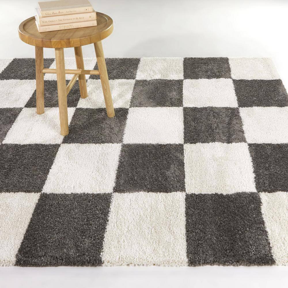 Reinhart Dark Gray and White Checkered Synthetic Area Rug