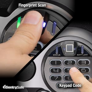 1.2 cu. ft. Fireproof & Waterproof Safe with Biometric Fingerprint Lock