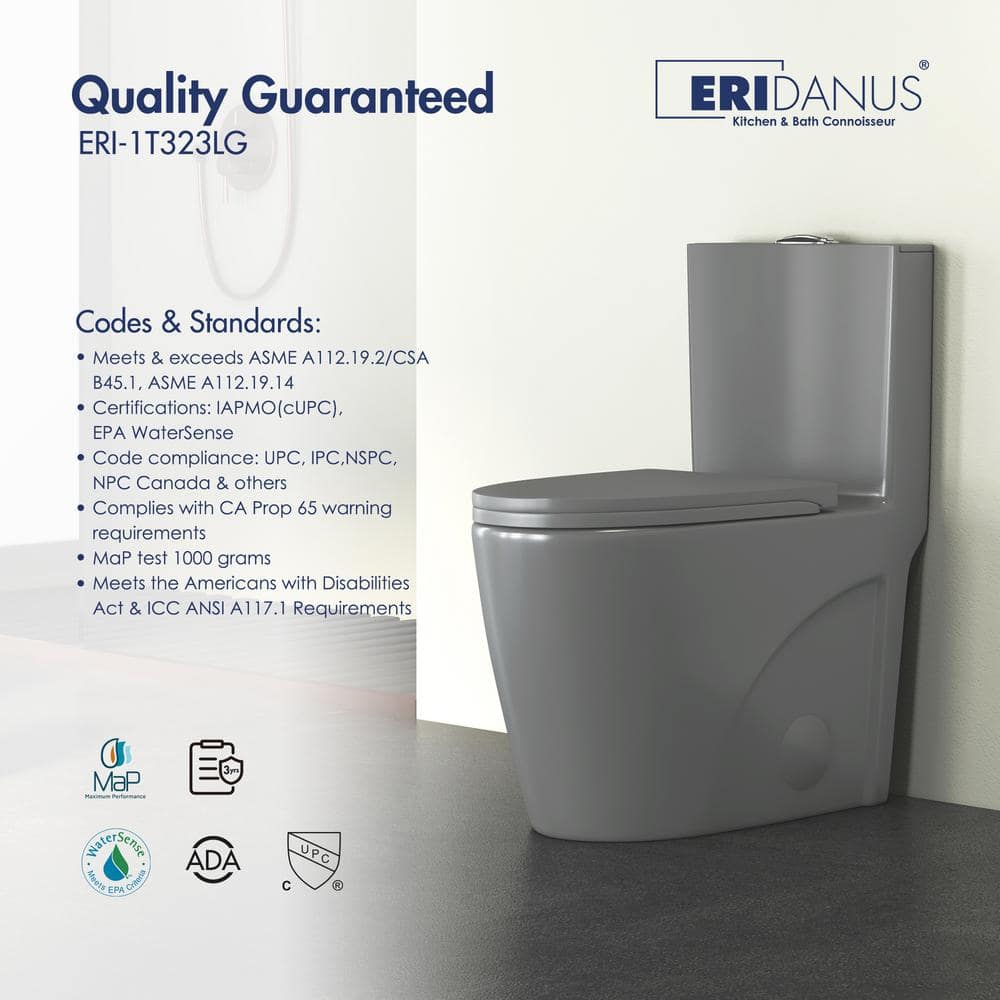 Reno Glacier Gray Elongated Dual Flush One-Piece Toilet