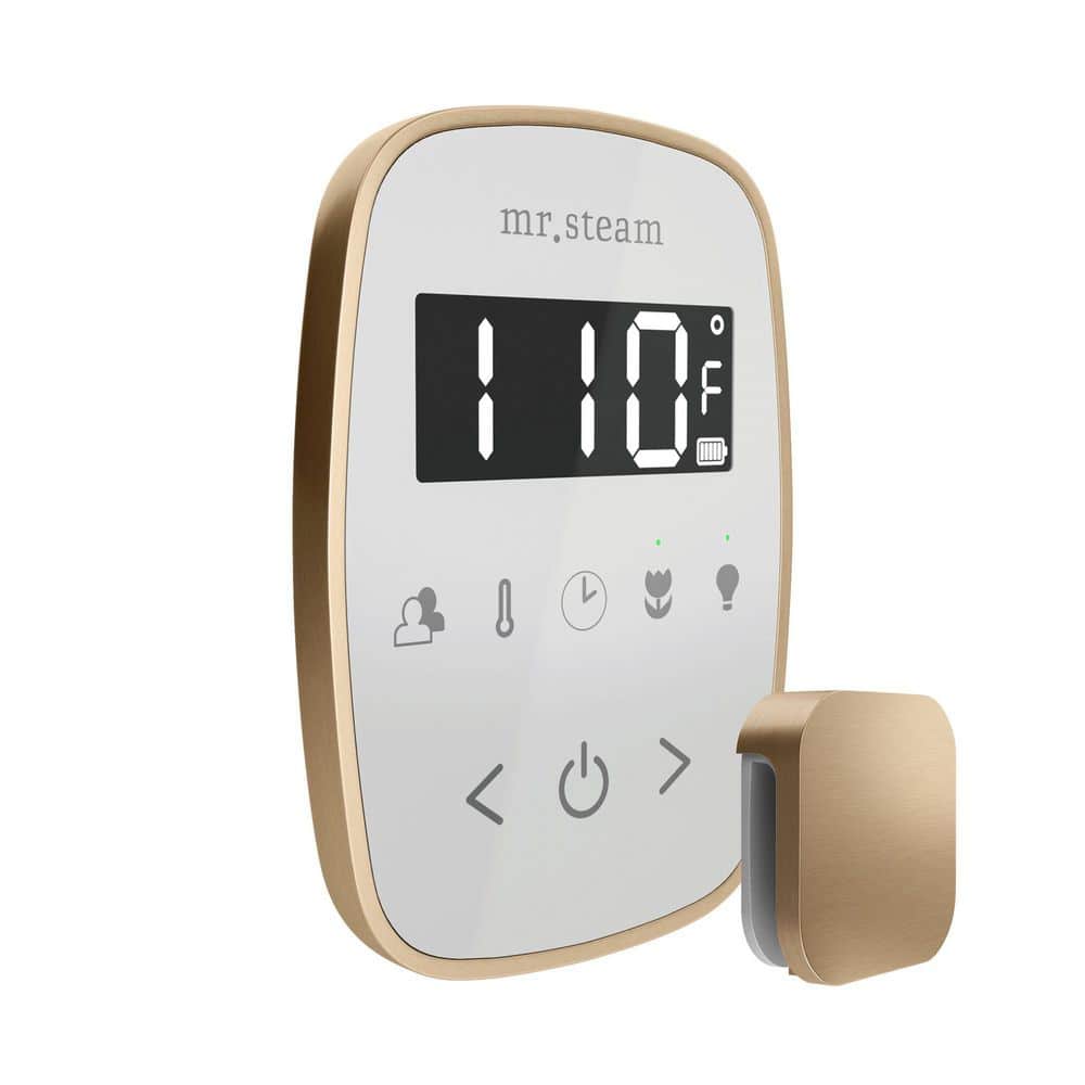 TempoFlex Steam Shower Control and Steamhead in White Brushed Bronze