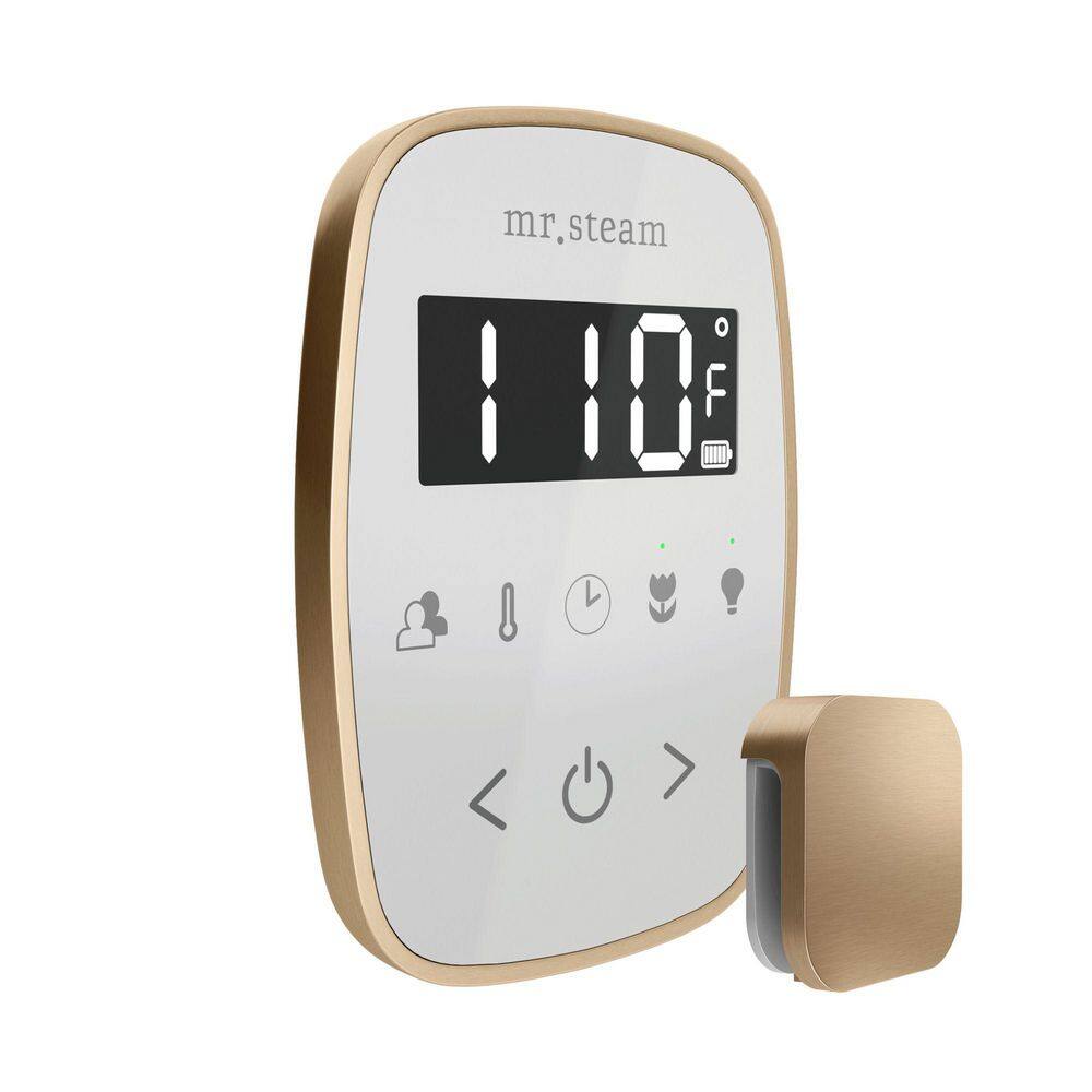 TempoFlex Steam Shower Control and Steamhead in White Brushed Bronze price history on PriceWatchPro