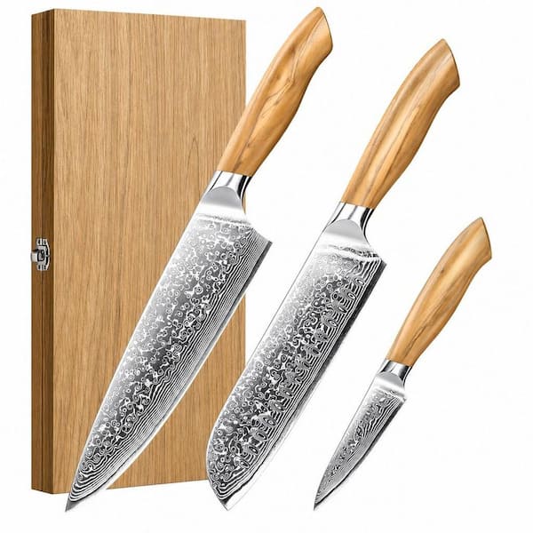4-Piece Japanese High-Carbon Steel Chef Knife Set, 67-Layers Damascus Kitchen Knife with Original Olive Wood Handle
