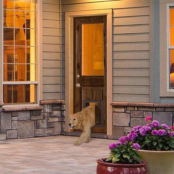 Door with outlet large dog door